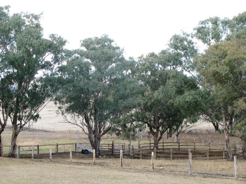 Inverell NSW 2360