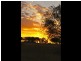 Inverell NSW 2360