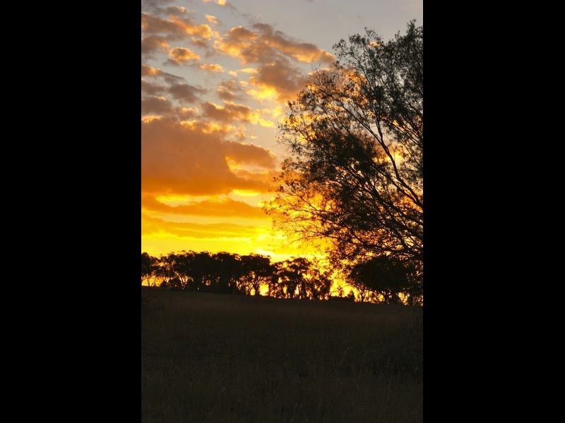 Inverell NSW 2360