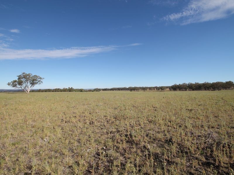 1695 Yetman Road, Inverell NSW 2360