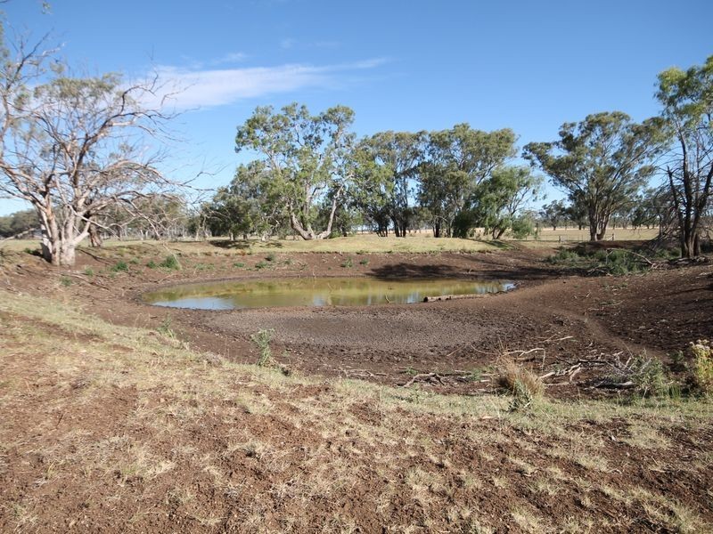 1695 Yetman Road, Inverell NSW 2360