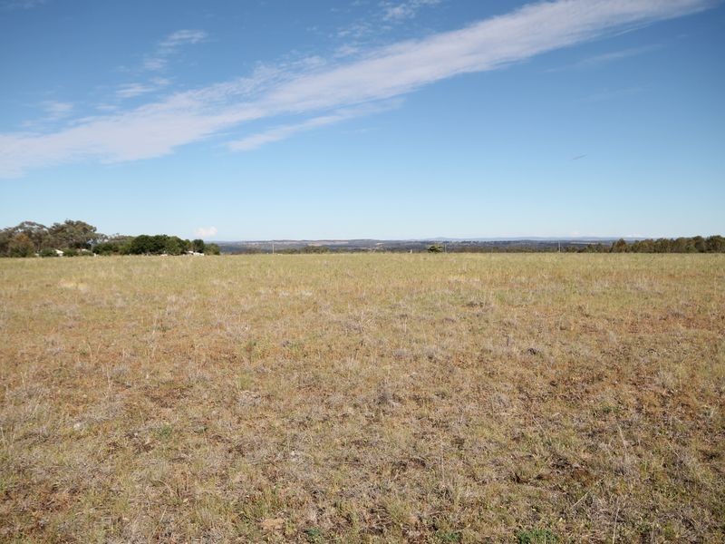 1695 Yetman Road, Inverell NSW 2360