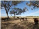 1695 Yetman Road, Inverell NSW 2360