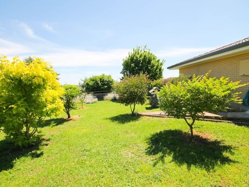 253 Ashford Road, Inverell NSW 2360