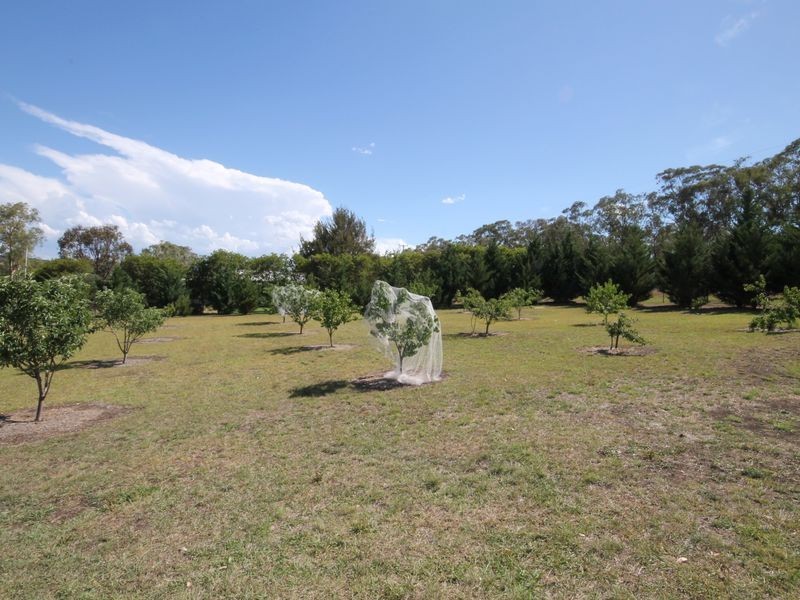 61 Coopers Lane, Inverell NSW 2360