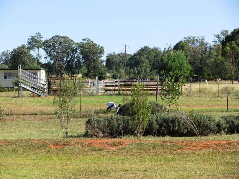 Gilgai NSW 2360