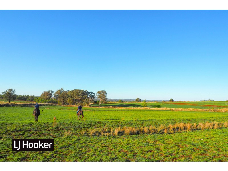 8075 Gwydir Highway, Inverell NSW 2360