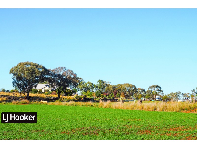 8075 Gwydir Highway, Inverell NSW 2360