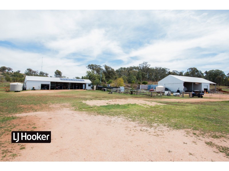 8075 Gwydir Highway, Inverell NSW 2360