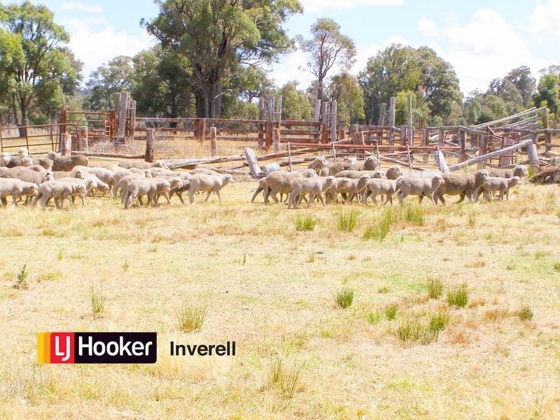1178 Moredun Dams Road, Inverell NSW 2360