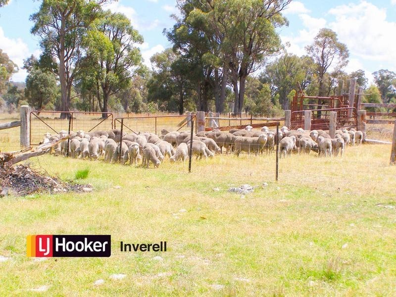 1178 Moredun Dams Road, Inverell NSW 2360