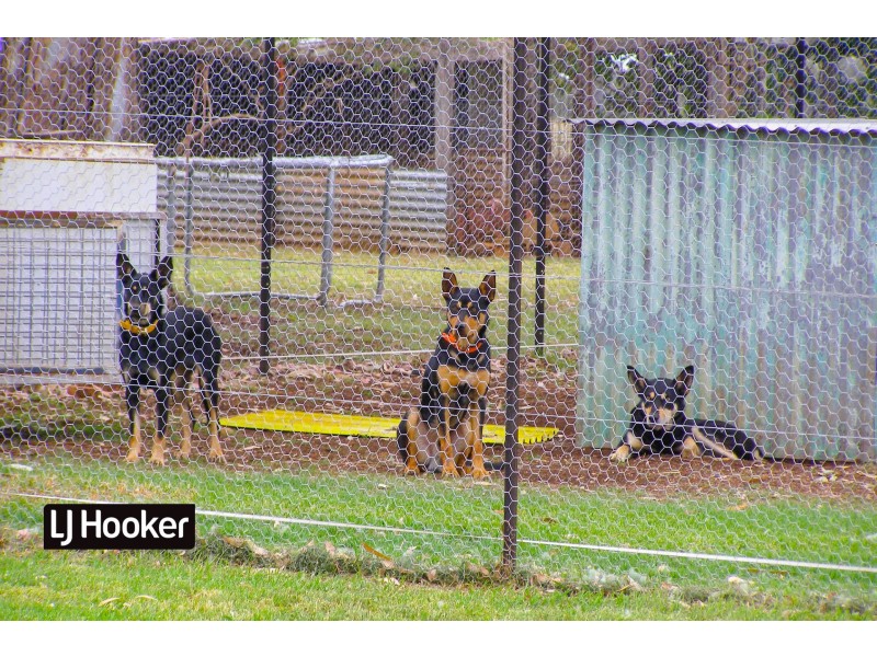 40 Hills Lane, Inverell NSW 2360