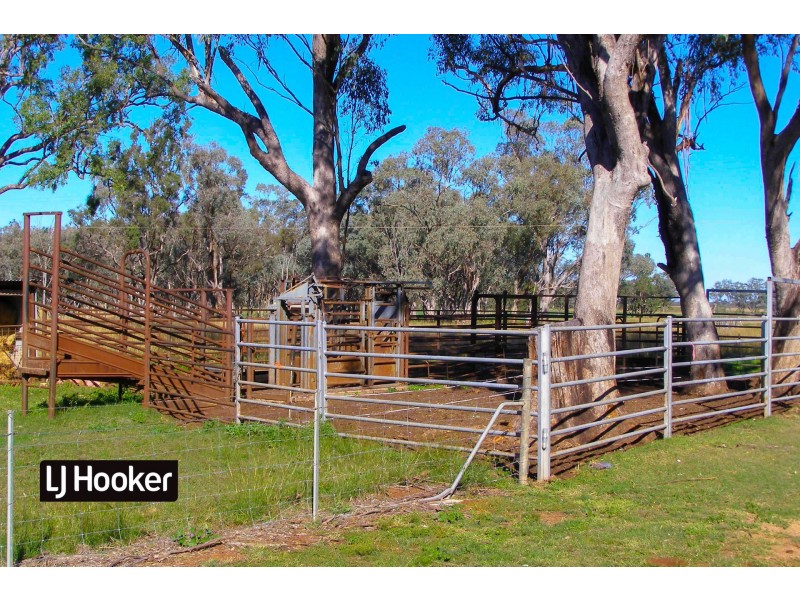 40 Hills Lane, Inverell NSW 2360