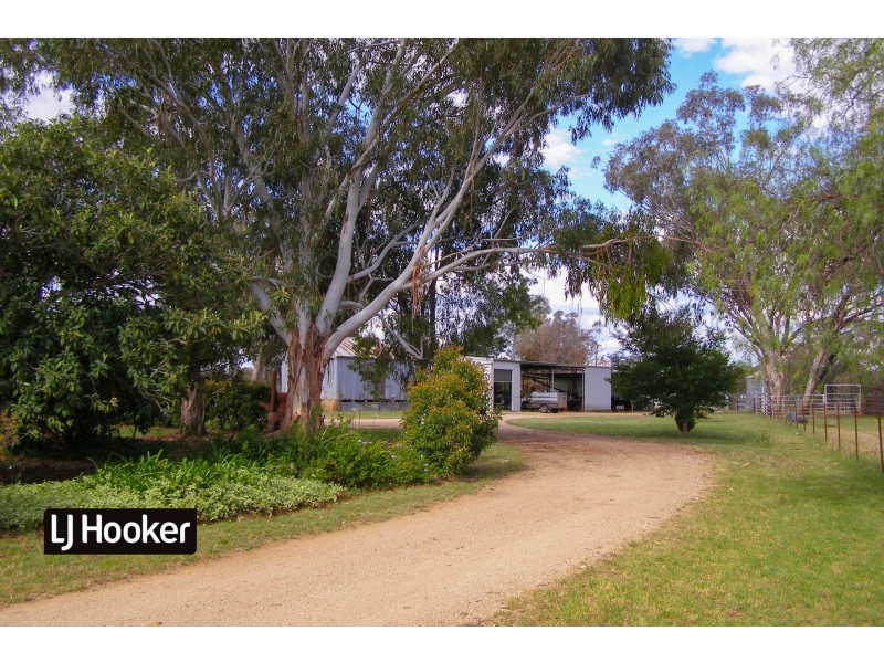 40 Hills Lane, Inverell NSW 2360