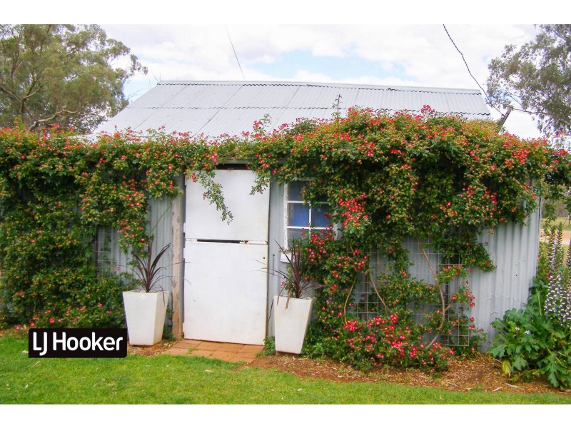 40 Hills Lane, Inverell NSW 2360