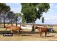 1552 Yetman Road, Inverell NSW 2360