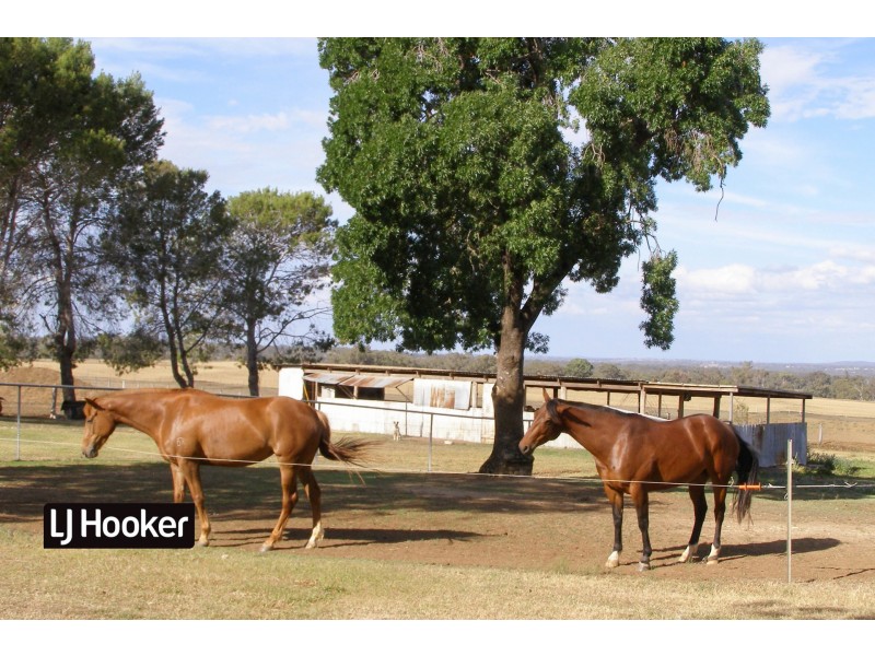 1552 Yetman Road, Inverell NSW 2360