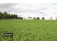 1552 Yetman Road, Inverell NSW 2360