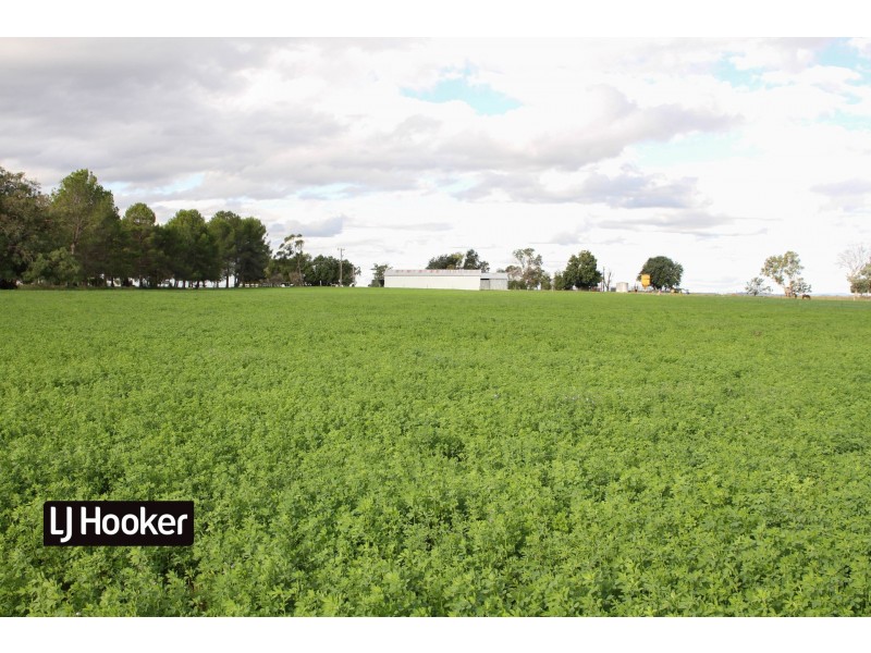 1552 Yetman Road, Inverell NSW 2360