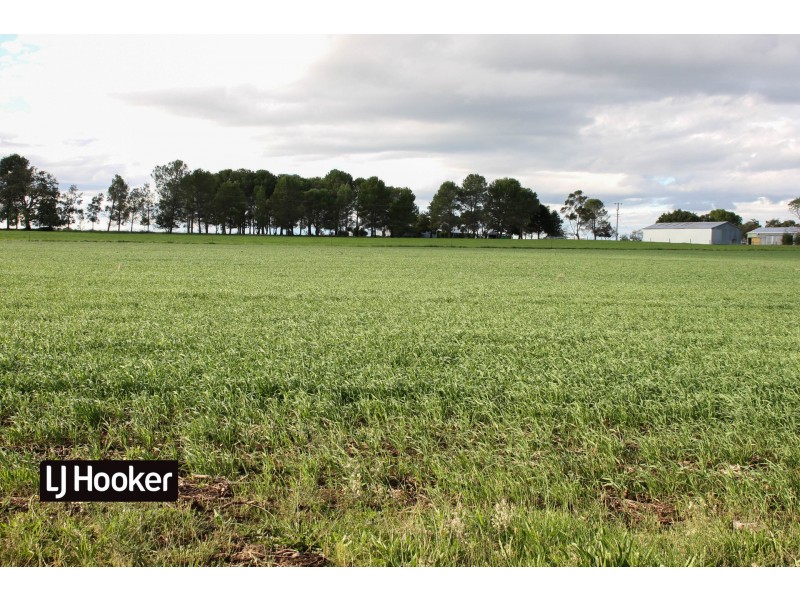 1552 Yetman Road, Inverell NSW 2360