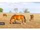 1552 Yetman Road, Inverell NSW 2360