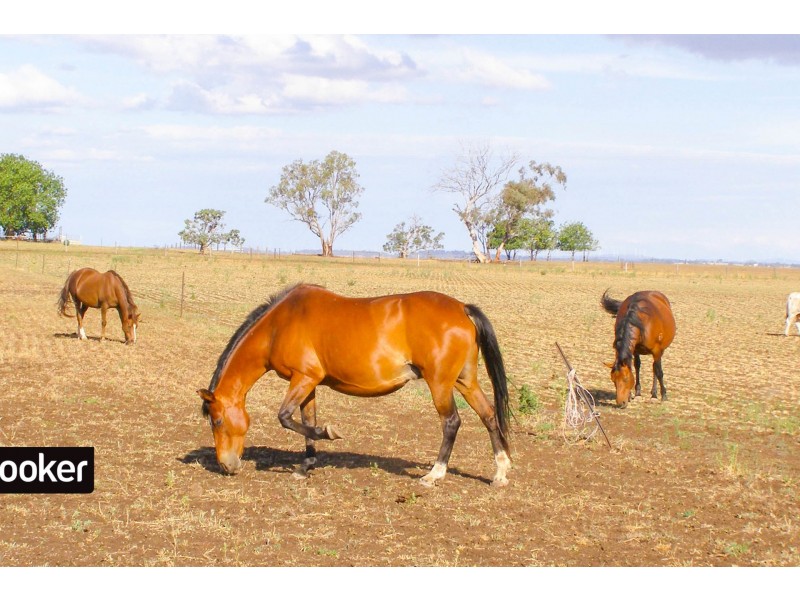 1552 Yetman Road, Inverell NSW 2360