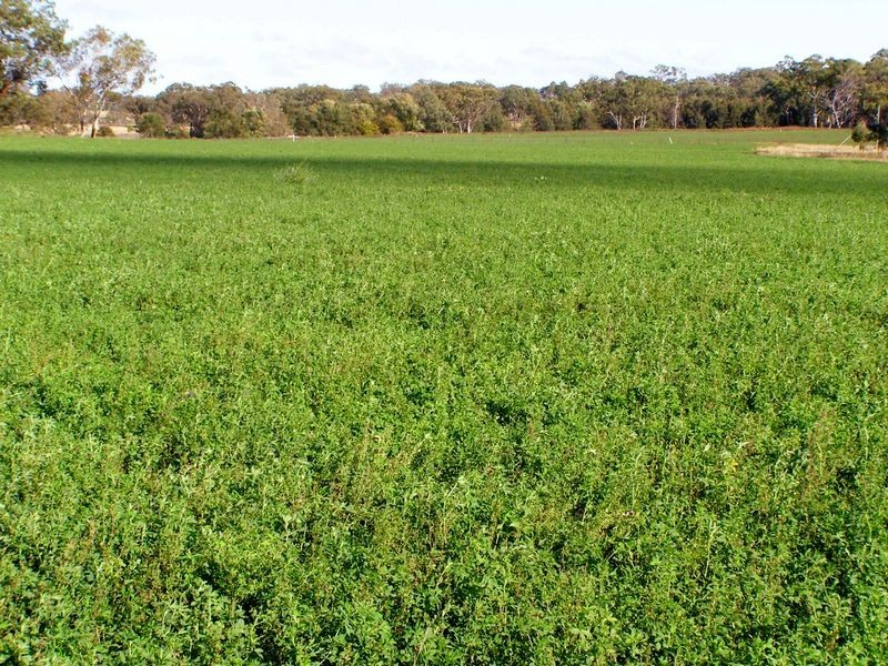 122 Roseneath Lane, Inverell NSW 2360