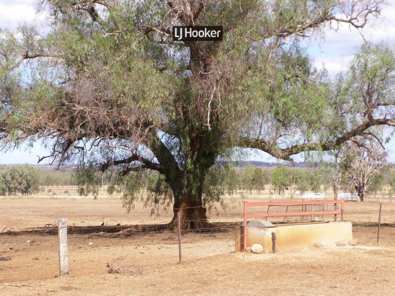 500 Havilah Park Road, Inverell NSW 2360