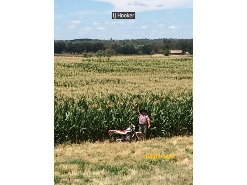 500 Havilah Park Road, Inverell NSW 2360