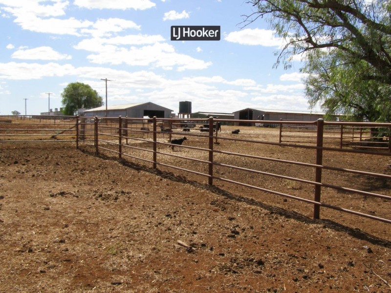 500 Havilah Park Road, Inverell NSW 2360