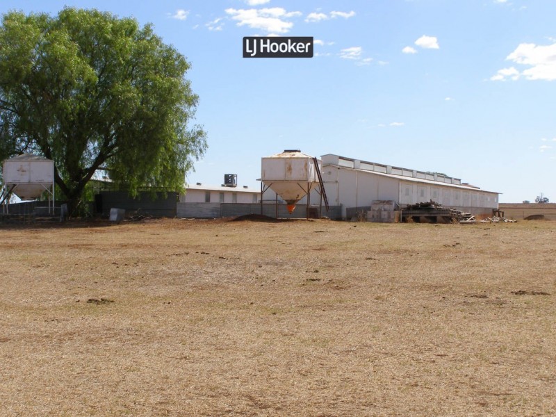 500 Havilah Park Road, Inverell NSW 2360