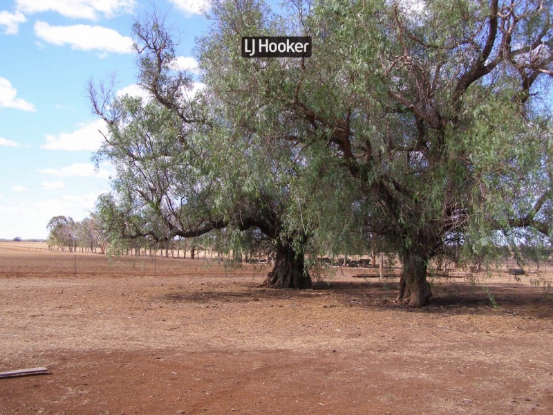 500 Havilah Park Road, Inverell NSW 2360