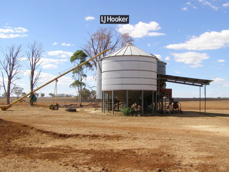 500 Havilah Park Road, Inverell NSW 2360