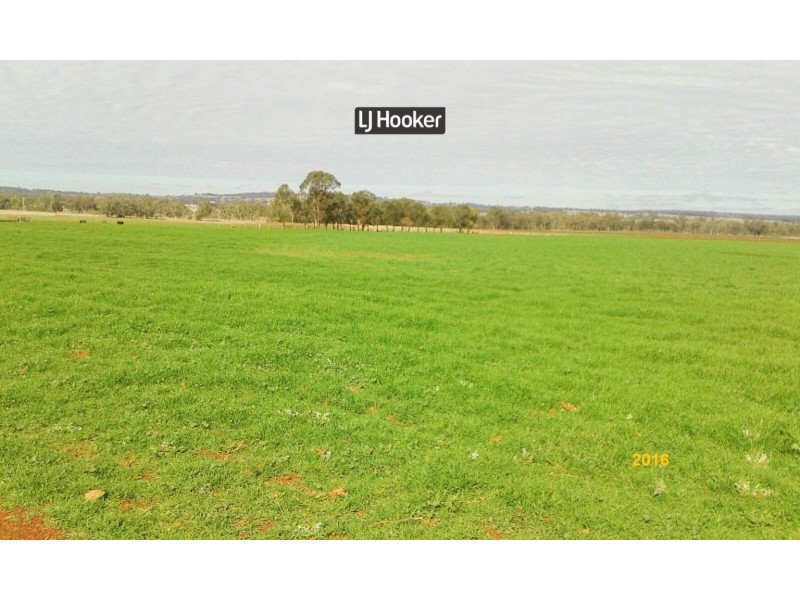 500 Havilah Park Road, Inverell NSW 2360