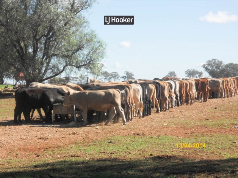 500 Havilah Park Road, Inverell NSW 2360