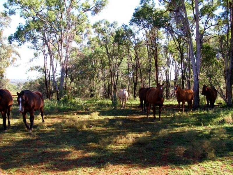 2321 Ashford Road, Inverell NSW 2360