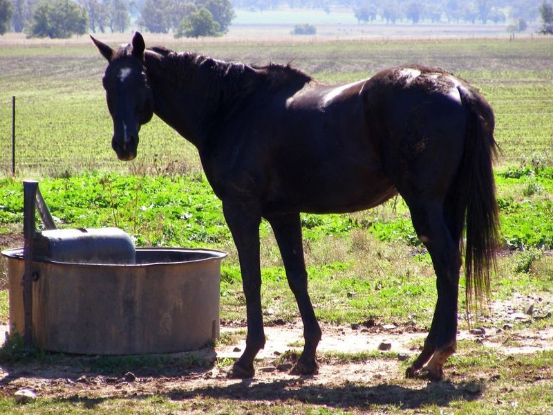 366 Oakwood Road, Inverell NSW 2360