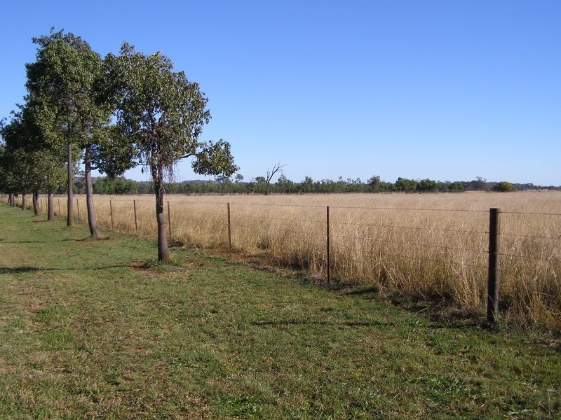 40 Hills Lane, Inverell NSW 2360