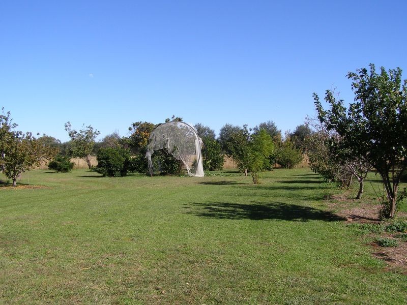 40 Hills Lane, Inverell NSW 2360