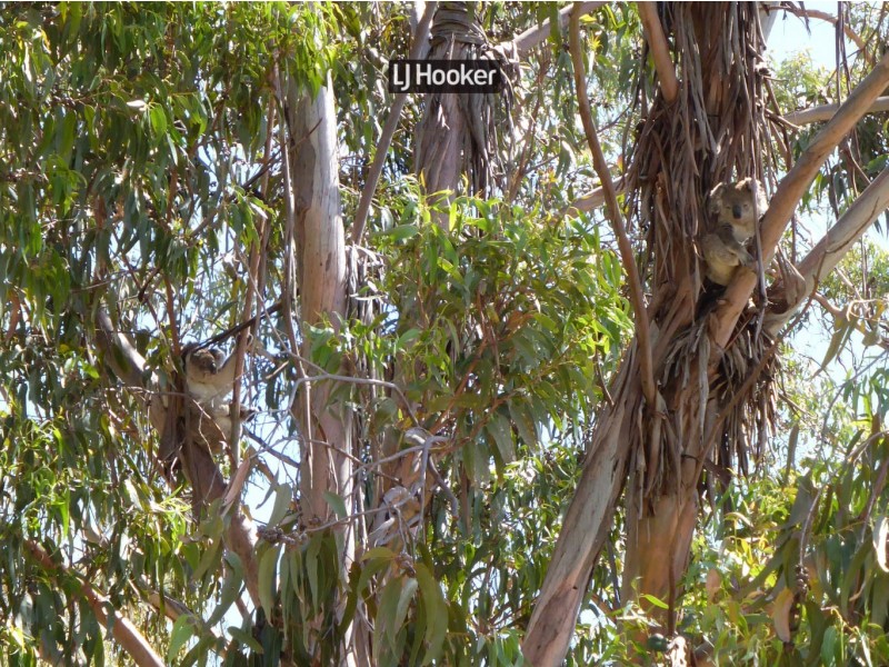 788 Copeton Dam Road, Inverell NSW 2360