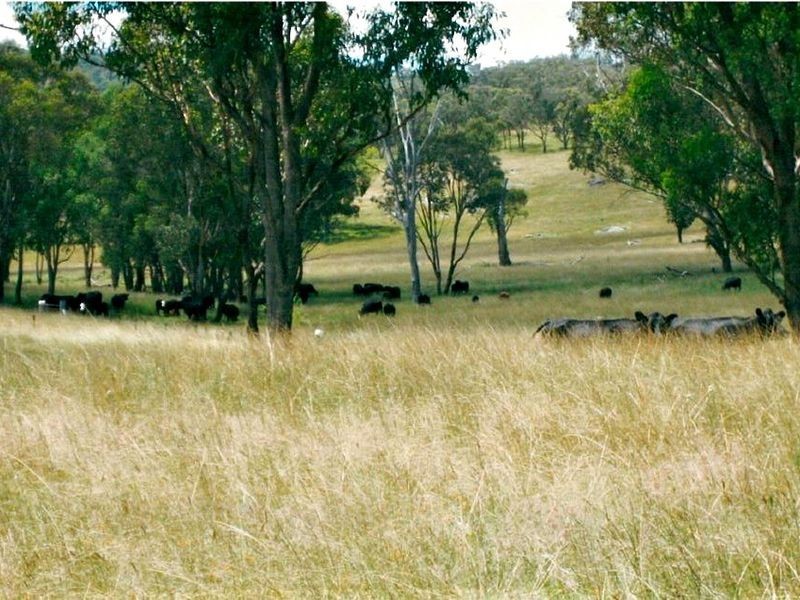 31 Haystack Road, Inverell NSW 2360