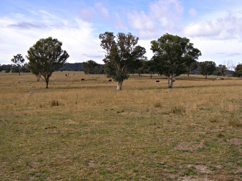 31 Haystack Road, Inverell NSW 2360