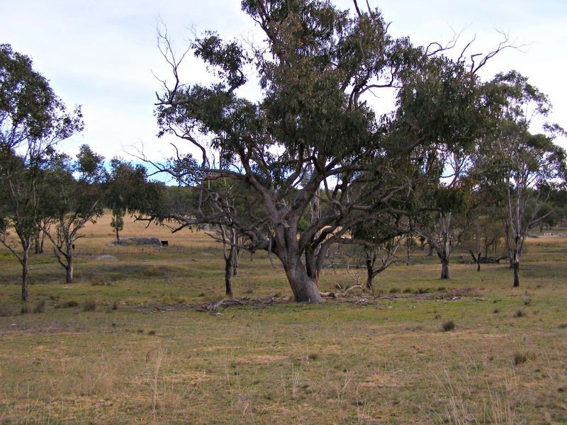 31 Haystack Road, Inverell NSW 2360