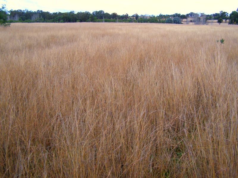 1 Castle Street Mount Russell, Inverell NSW 2360