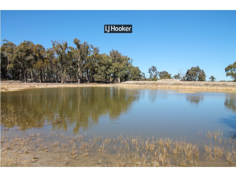 1178 Moredun Dams Road, Inverell NSW 2360