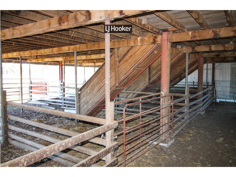 1178 Moredun Dams Road, Inverell NSW 2360