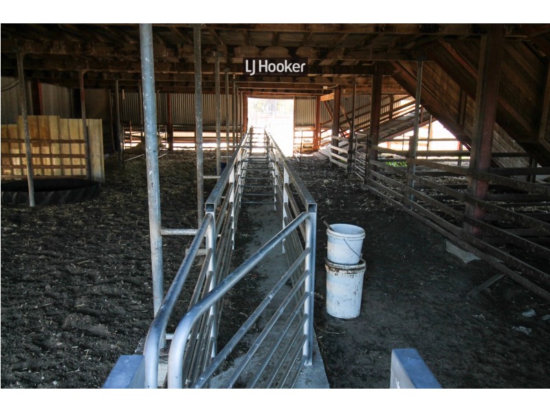 1178 Moredun Dams Road, Inverell NSW 2360