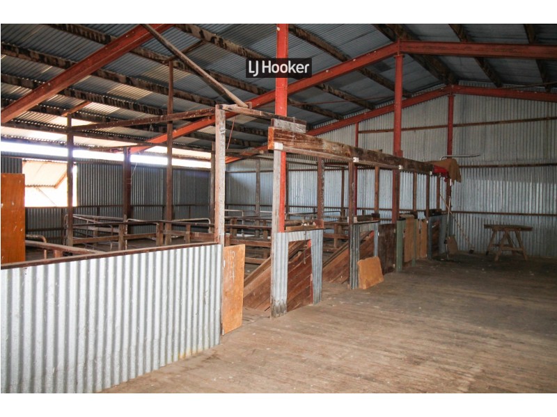 1178 Moredun Dams Road, Inverell NSW 2360