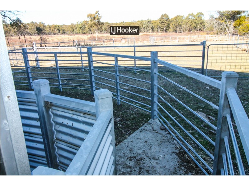 1178 Moredun Dams Road, Inverell NSW 2360