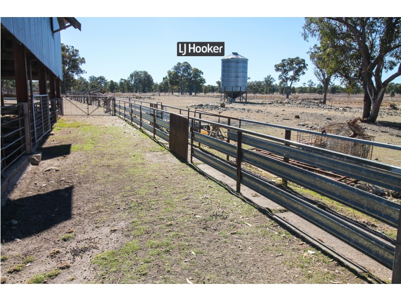 1178 Moredun Dams Road, Inverell NSW 2360